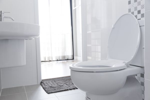 Cost of Toilet Relocation in Casa Grande